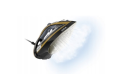 9865 (5).png