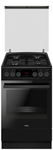 dpan bm amica (10).png
