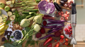 6m blender (4).png