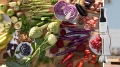 bsh blender (2).webp