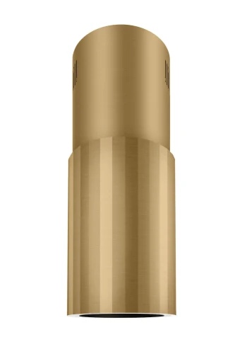 roto w steel gold (2).webp