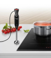 Blender ręczny Bosch MS6CB6110 (3).png