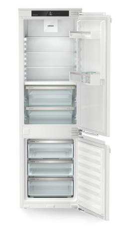 ICBNdi 5123 (2).png