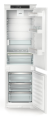 ICNSd 5123 (2).png