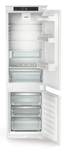 ICNSd 5123 (2).png