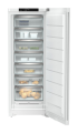 995203751 (7).png