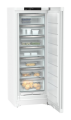 995203751 (8).png