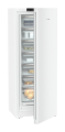 995203751 (9).png