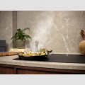 Electrolux LFG716R (2).png