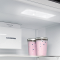 Liebherr ICNb 5123 plus (6).png