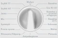 BRGPZV85101 (5).png