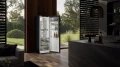 Liebherr RBbsb 525i prime (12).png