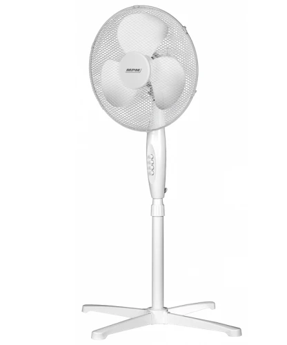 mpm (13).png