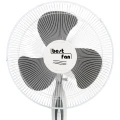 BT 001 (5).png