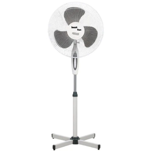 BT 001 (1).png