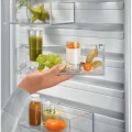 chłodziarka electrolux (3).png