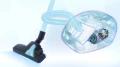 4242005580828 (3).png